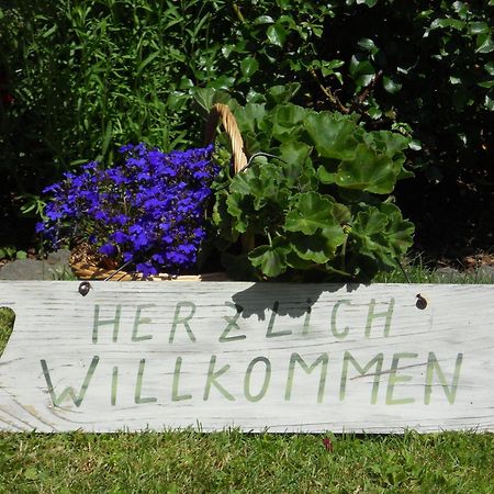 Pension Alte Muehle Gmünd Exteriér fotografie