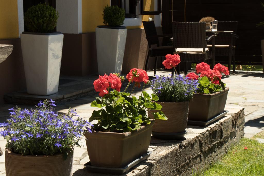 Pension Alte Muehle Gmünd Exteriér fotografie