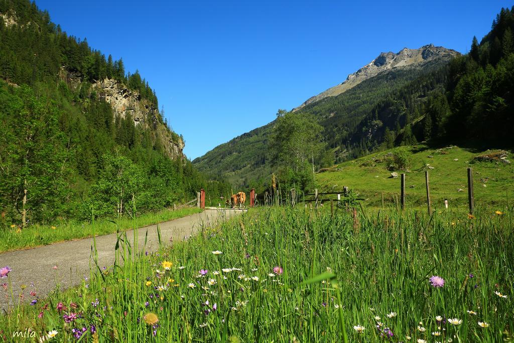 Pension Alte Muehle Gmünd Exteriér fotografie