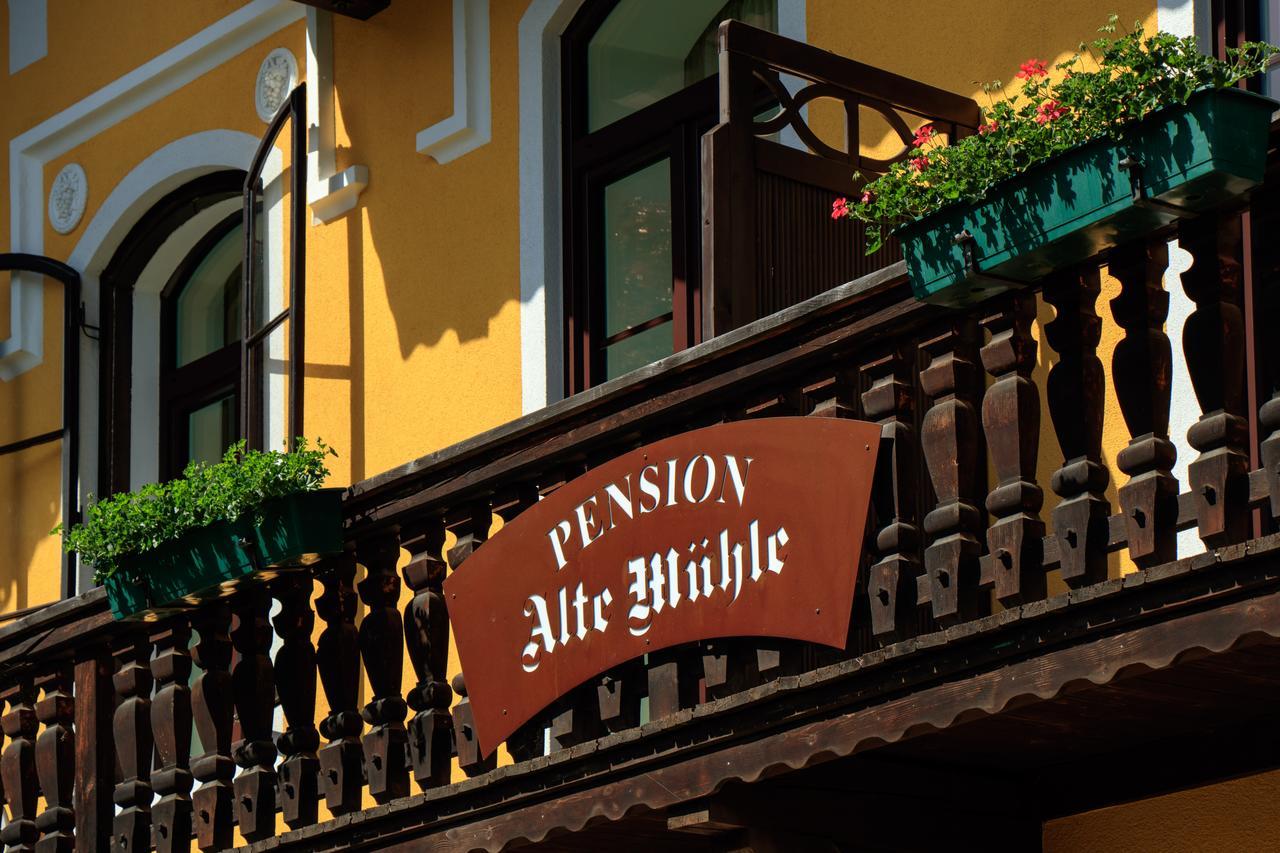 Pension Alte Muehle Gmünd Exteriér fotografie
